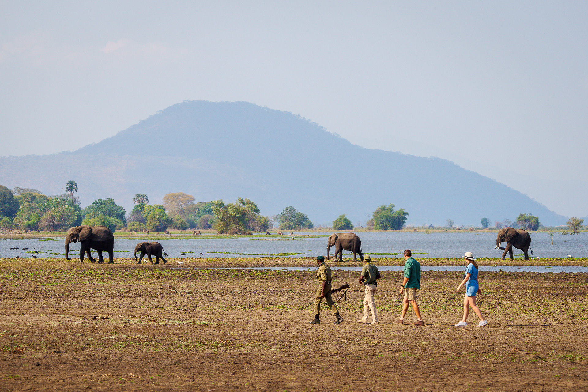 Family and Group Tours